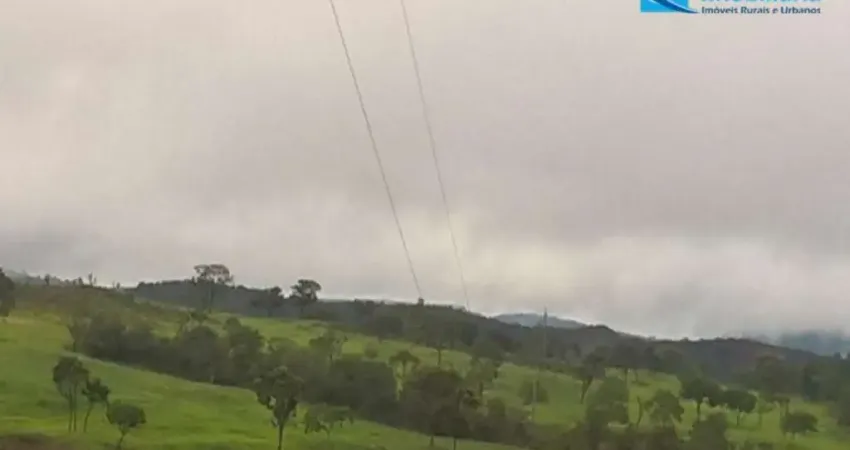 Fazenda rica em água, com 25,50 alqueires em Presidente Olegário - MG;