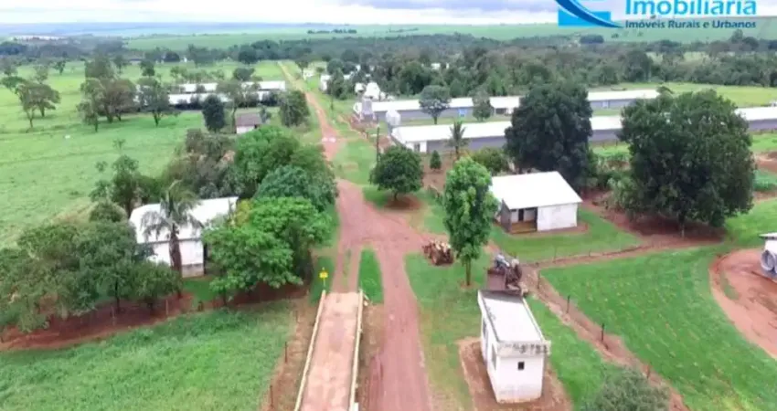 Fazenda em Monte Alegre de Minas - MG com 74,30 hectares, ou seja, 15,35 Alqueires