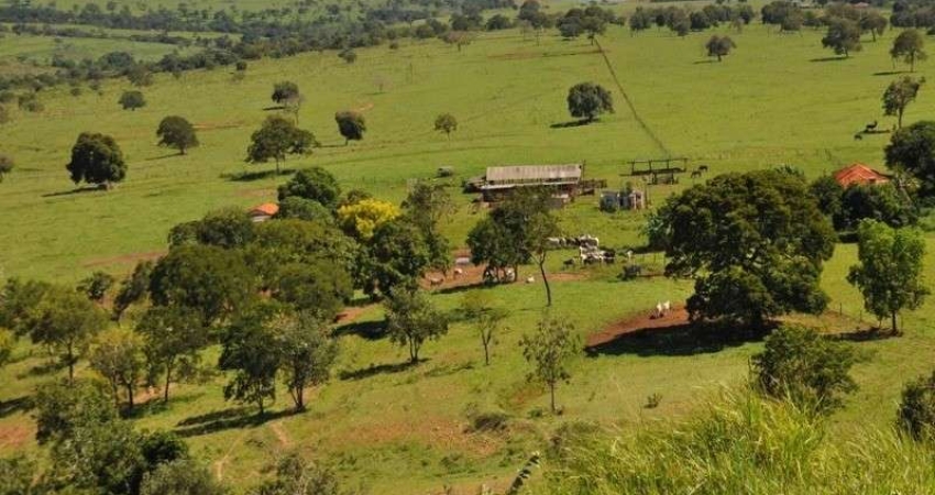 Fazenda de 388 Alqueires em Tupaciguara-MG: aproximadamente 950 hectares em Cana e estrutura completa para pecuária nas margens da Represa de Furnas!