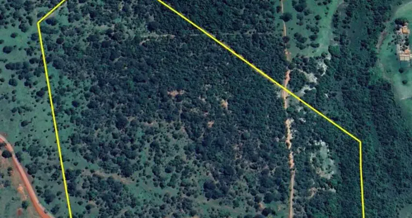 SÍTIO DE 38,30 HECTARES EM SANTA VITÓRIA-MG: O PARAÍSO NO CAMPO ESPERA POR VOCÊ!