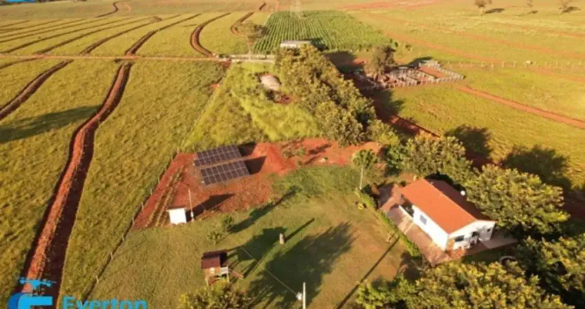 Fazenda de 16.50 Alqueires em Santa Vitória-MG: oportunidade única com 79,86 hectares de área!