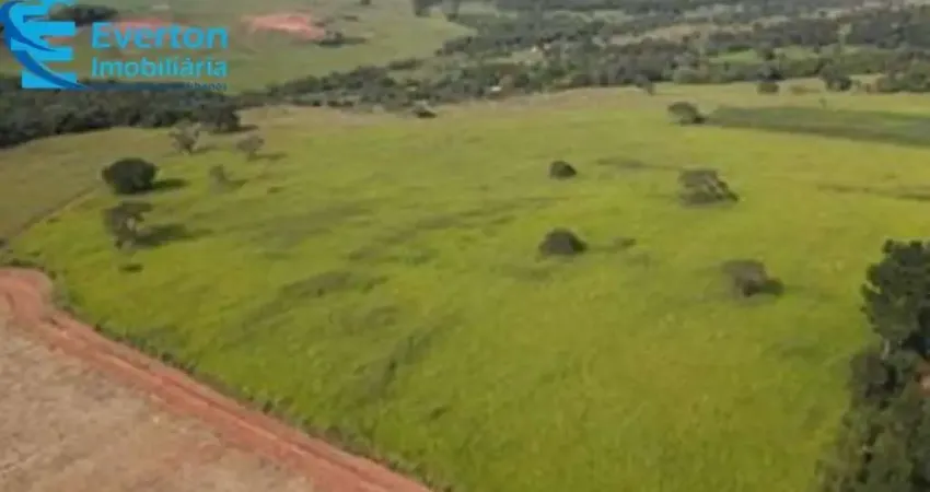 Fazenda de 16,91 alqueires em Uberlândia, Tapuirama: Estrutura completa para sua atividade rural!