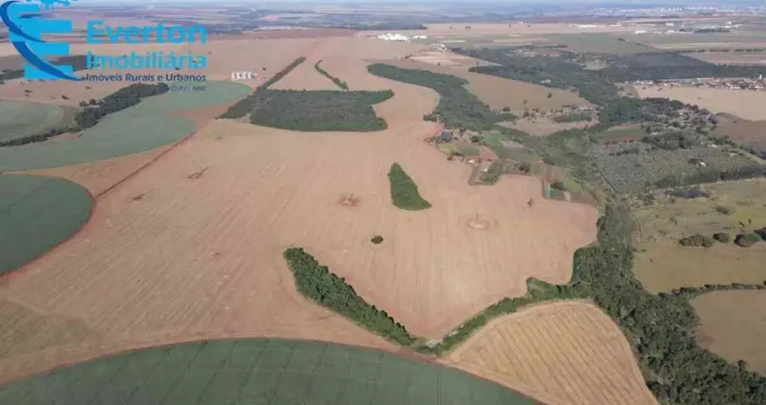FAZENDA DE 45,95 ALQUEIRES EM ÁREA RURAL DE UBERLÂNDIA-MG - OPORTUNIDADE ÚNICA!