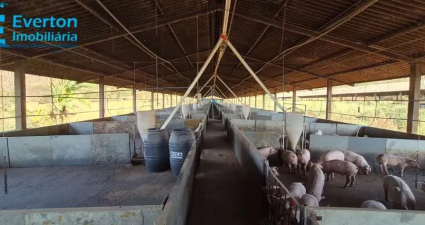 Fazenda produtiva com barracões de suínos e pecuária de corte em araguari, mg: oportunidade imperdível!
