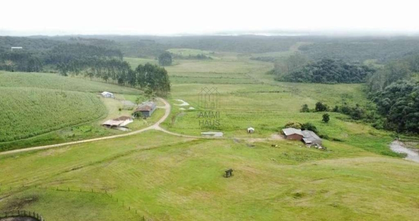 Fazenda à venda na Colônia Murici, São José dos Pinhais 