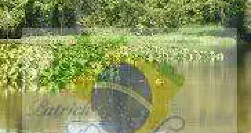 Casa de praia para venda em itanhaém, ila são paulo, 4 dormitórios, 4 suítes, 7 banheiros, 10 vagas