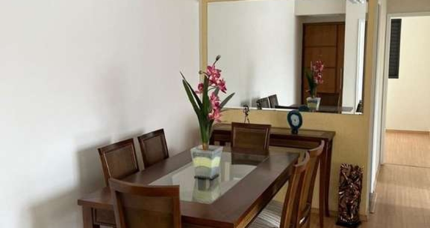 Apartamento com 3 quartos para alugar na Jose de Ibarra, 165, Mandaqui, São Paulo