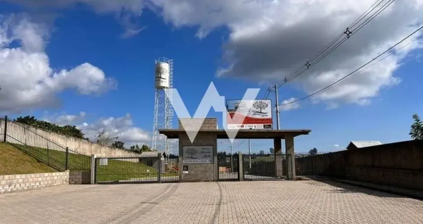 Terreno à venda na Estrada Afonso Strack, --, Lomba Grande, Novo Hamburgo
