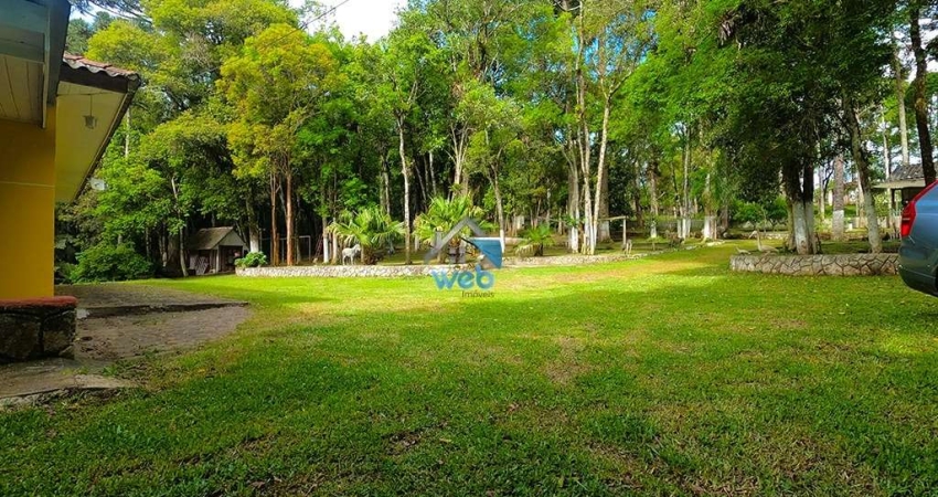 Chácara / sítio com 3 quartos à venda na Rua José Roncaglio, 1111, Borda do Campo, São José dos Pinhais