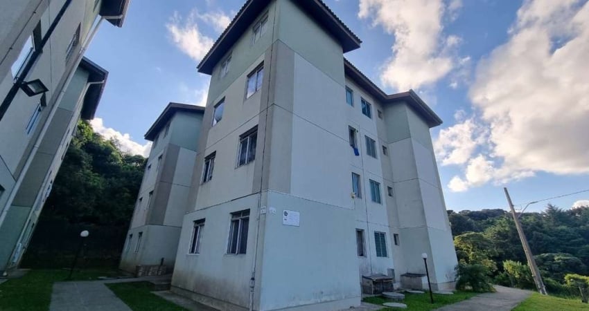 Apartamento com 2 quartos para alugar na Rua Thereza Lopes Skroski, 761, Santa Cândida, Curitiba