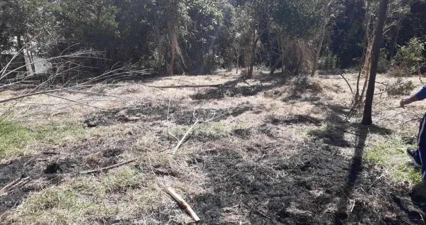 Terreno à venda na Rua do Jatobá, São Dimas, Colombo