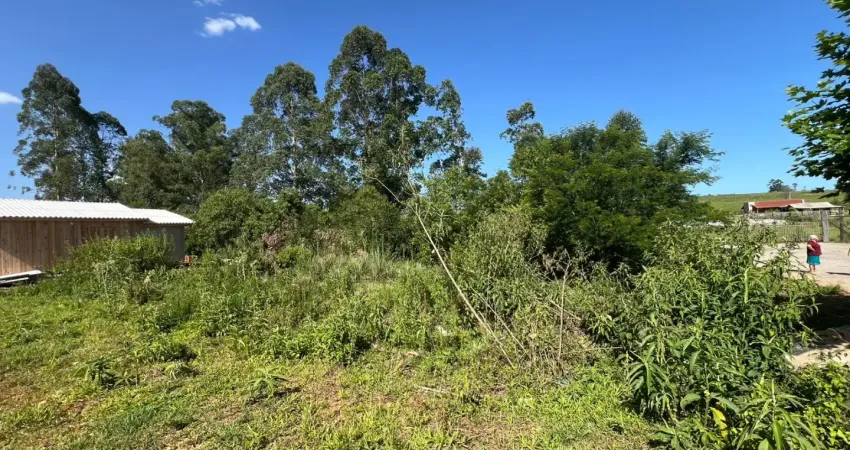 Terreno à venda na Avenida José Apolônio Oliveira Neto, 7900, Zona Rural, Araricá