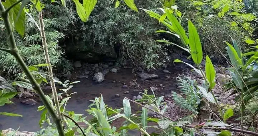 Chácara / sítio à venda na Rua Felipe Bender, 50000, Zona Rural, Três Coroas