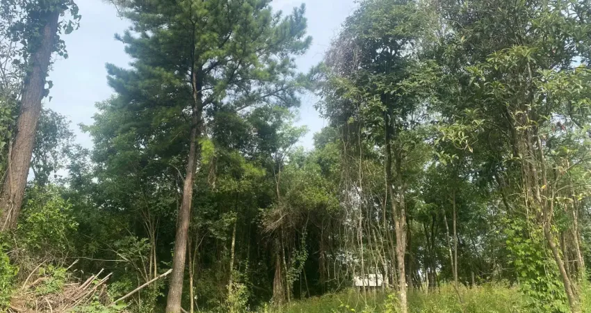 Chácara / sítio à venda na Rua Rio Branco, 90000, Zona Rural, Taquara