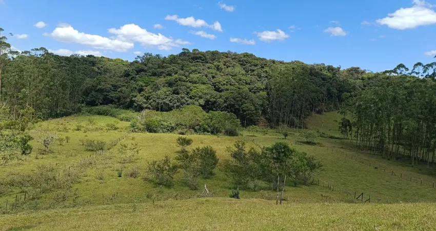 Terreno industrial rua calçada divisa blumenau com pomerode