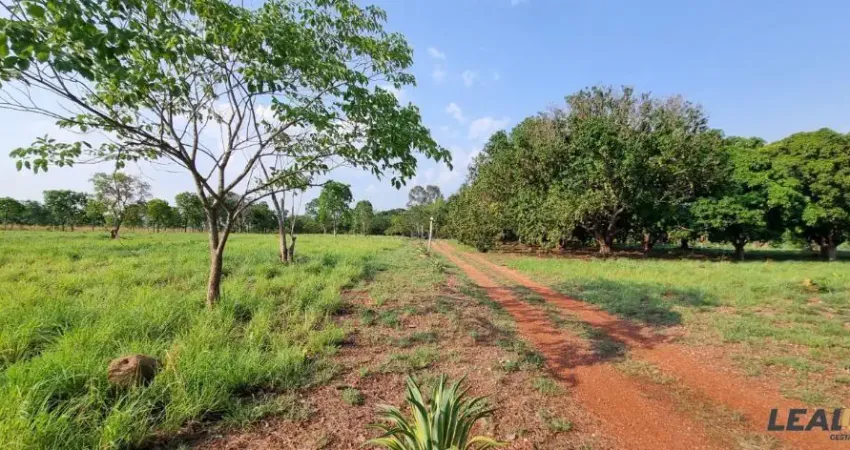 Vendo Chácara na Comunidade Bandeira 2 distante apenas 18 km de Cuiabá MT