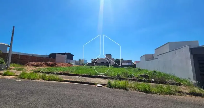 Terreno à venda na Rua Elza Serapilha Novo, 65, Sérgio Roim (Padre Nóbrega), Marília