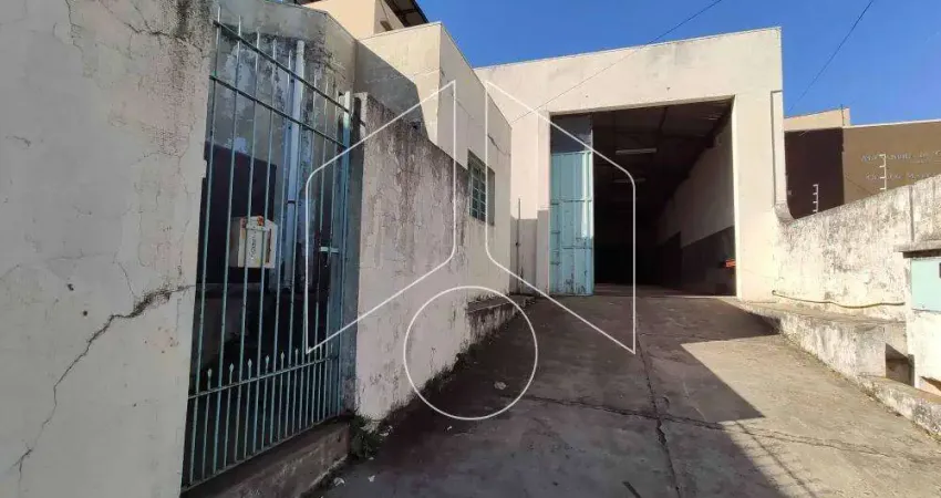 Comercial GalpãoBarracão em Marília