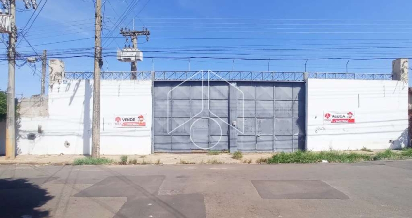 Comercial GalpãoBarracão em Marília