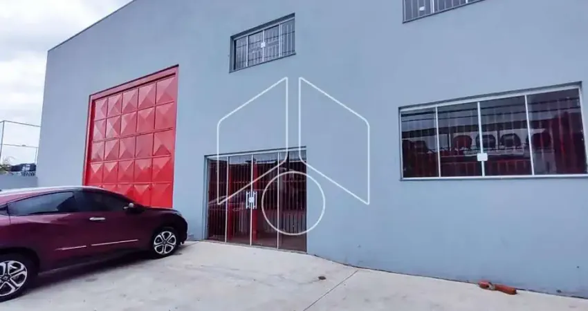 Barracão / Galpão / Depósito à venda na Rodovia Transbrasiliana, 20263, Jóquei Clube, Marília