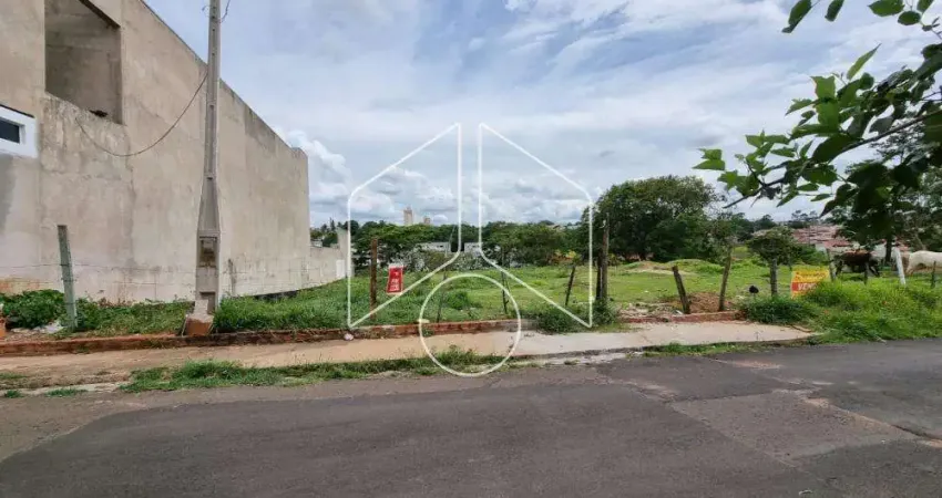 Terreno à venda na Rua São Carlos - em frente ao nº, 101097, Alto Cafezal, Marília