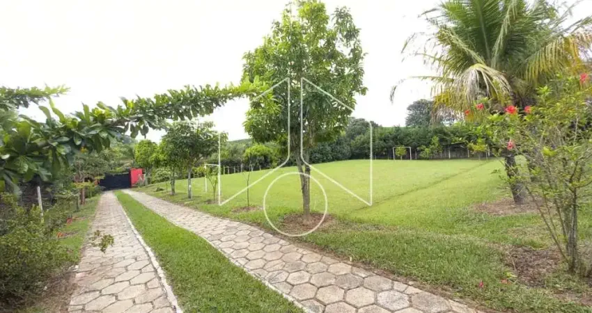 Chácara / sítio com 3 quartos à venda na Rodovia Comandante João Ribeiro Barros, 80, Parque das Indústrias, Marília