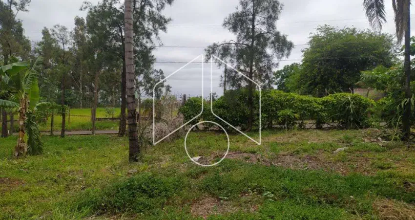 Chácara / sítio à venda na Alameda Santa Carolina, 80, Sítios de Recreio Santa Carolina, Marília