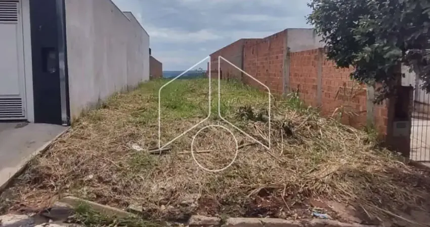 Terreno à venda na Rua Doutor Manoel Peregrino da Silva, 68, Jardim Universitário, Marília