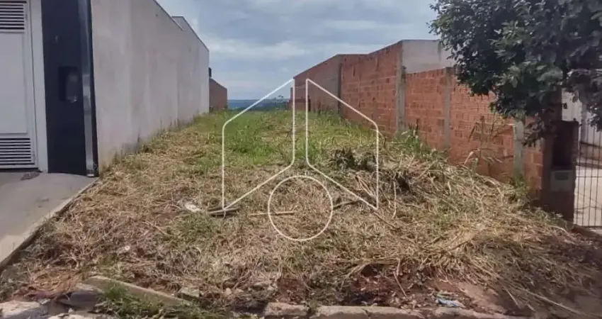 Terreno à venda na Rua Doutor Manoel Peregrino da Silva, 0, 68, Jardim Universitário, Marília