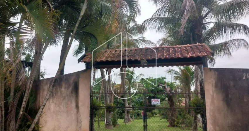 Chácara / sítio com 2 quartos à venda na Área Rural, 20394, Área Rural de Marília, Marília