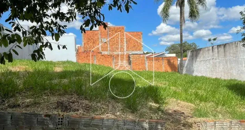Terreno / Fora de Condomínio - Jardim Dom Frei Daniel Tomasella - Venda - Residencial