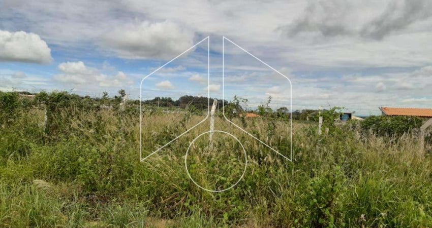 Chácara / sítio à venda na Avenida Sampaio Vidal, 70, Padre Nóbrega, Marília