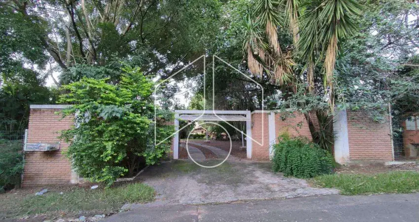 Chácara / sítio com 3 quartos à venda na Rua Izabel Segura Viudes, 30656, Vila Romana, Marília