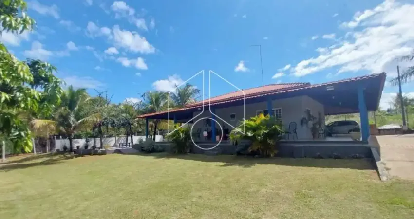 Chácara / sítio com 3 quartos à venda na Estrada Vicinal Américo José de Oliveira, 56, Centro, Marília