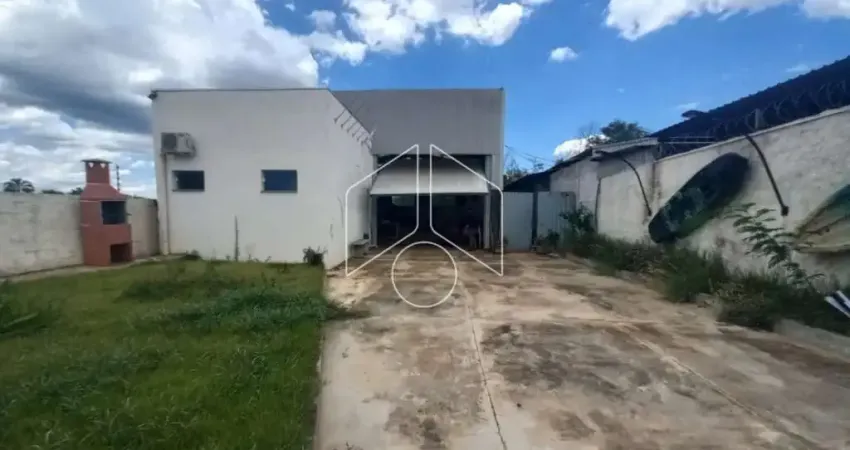 Comercial GalpãoBarracão em Marília
