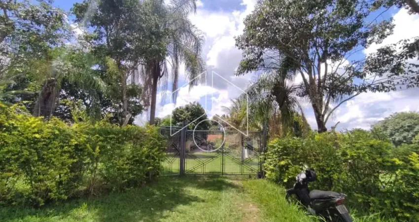 Chácara / sítio com 3 quartos à venda na Rua Sidronio Antonio de Carvalho, Endereço: SIDRONIO, 10 - SIT REC ETN UBERLANDIA - MARILIA, 1095, Sítios de Recreio da Estância Uberlândia, Marília