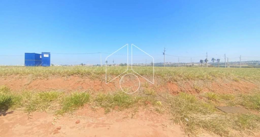 Terreno / Dentro de Condomínio - Venda - Residencial | Jardins do Ipê