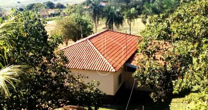 Chácara / sítio com 3 quartos à venda na Rua bentivi, chácara, 81, Dirceu (Distrito de Marilia), Marília