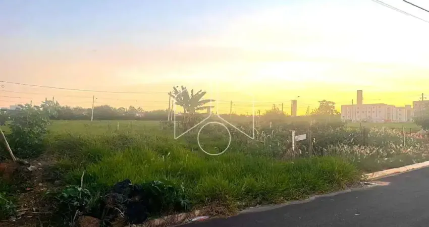 Terreno à venda na Rua Magali Aparecida Pinha Amaral Alonso, 77, Marília, Marília