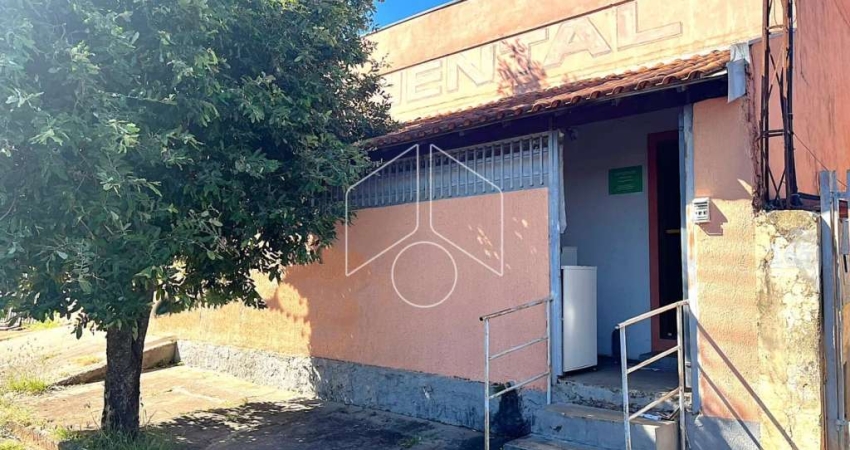 Comercial GalpãoBarracão em Marília
