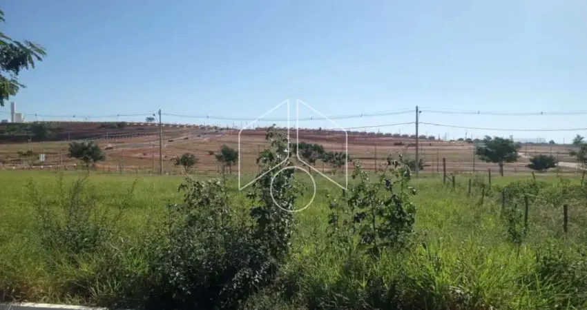 Terreno à venda na Rua Magali Aparecida Pinha Amaral Alonso, 66, Parque das Flores, Marília