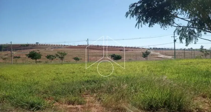 Terreno à venda na Rua Magali Aparecida Pinha Amaral Alonso, 82, Parque das Flores, Marília