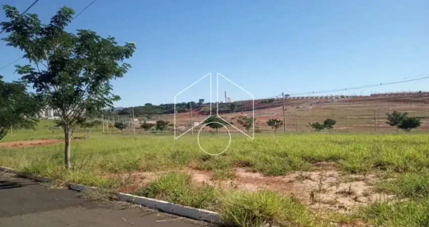 Terreno à venda na Rua Magali Aparecida Pinha Amaral Alonso, 80, Parque das Flores, Marília