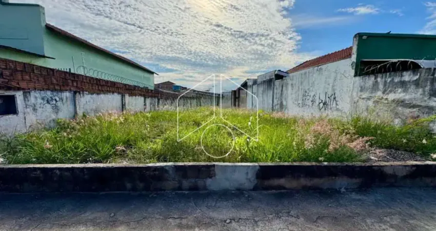 Terreno comercial à venda na Avenida Nelson Spielmann, 0, 103069, Palmital, Marília