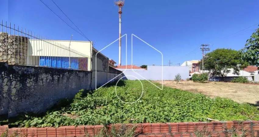 Terreno comercial à venda na Rua Sete de Setembro, 72, Alto Cafezal, Marília