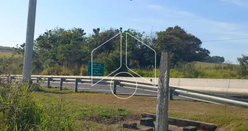 Chácara / sítio à venda na Rodovia Transbrasiliana - KM 333, 30374, Área Rural de Marília, Marília