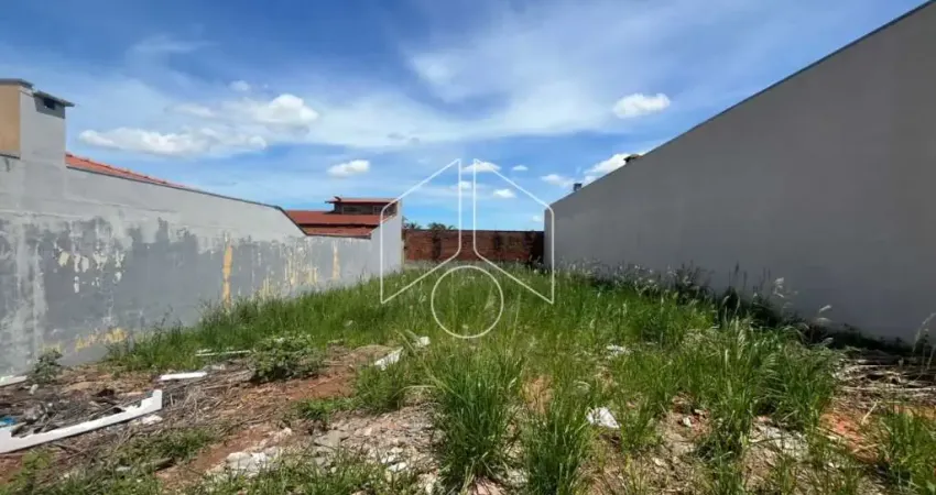 Terreno comercial à venda na Rua Joaquim Palácio de Caras, 54, Jardim Cavallari, Marília