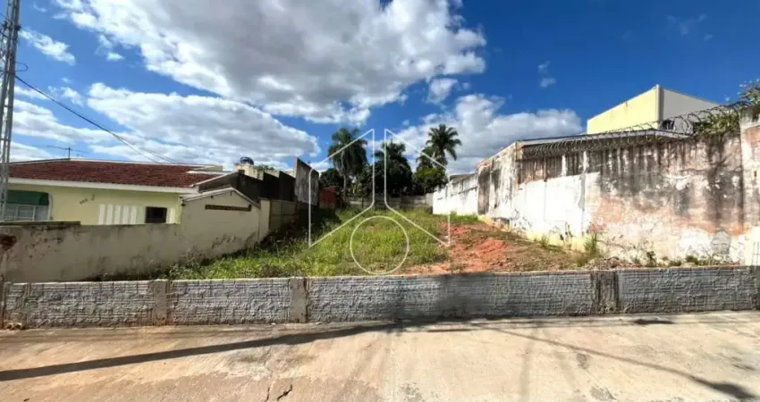 Terreno comercial à venda na Rua Bonfim, 90563, Alto Cafezal, Marília