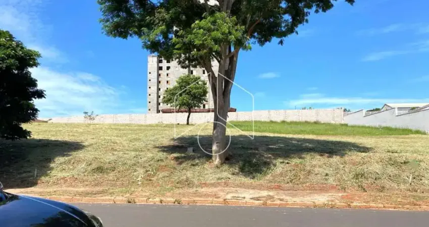 Terreno comercial à venda na Rua dos Tucunarés, 75, Jardim Maria Martha, Marília