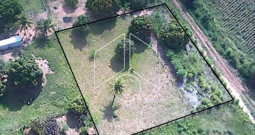 Terreno comercial à venda na Avenida dos Miosótis, 93, Avencas (Avencas), Marília